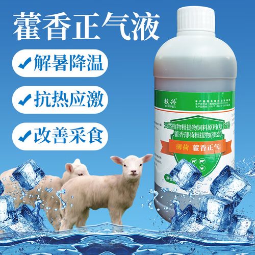 夏日養殖必備 藿香正氣液與冰爽VC——畜禽通用飼料添加劑使用指南